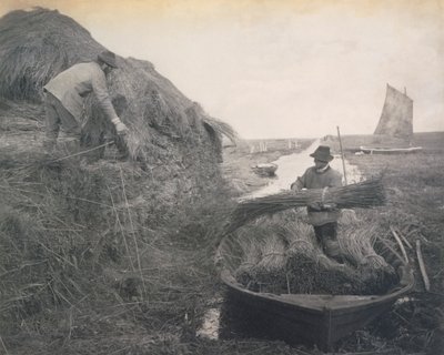 Ricking the Reed, Life and Landscape on the Norfolk Broads, c.1886 by Peter Emerson und Thomas Goodall